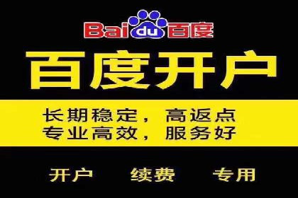 实战解析：SEO与SEM结合案例研究